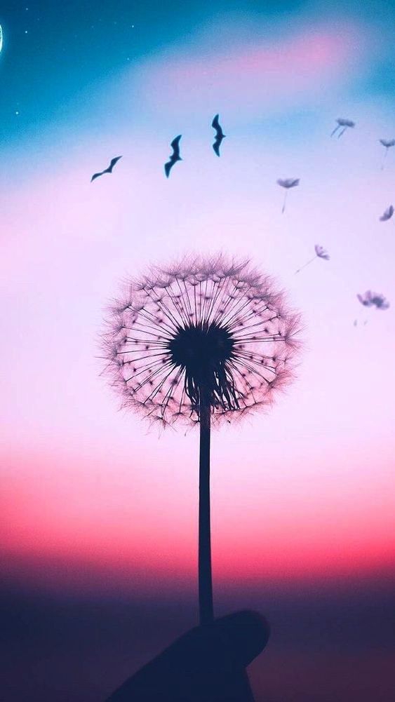 ♥