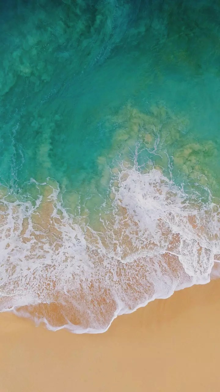 Sea