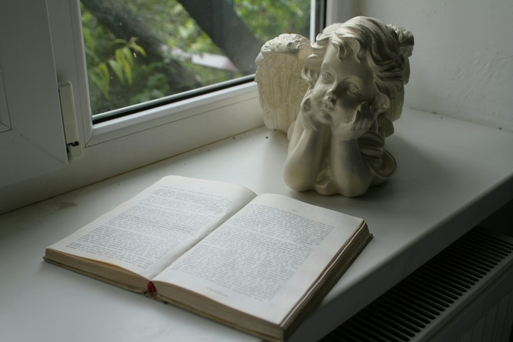 angel reed the book