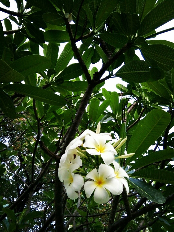 In school campus