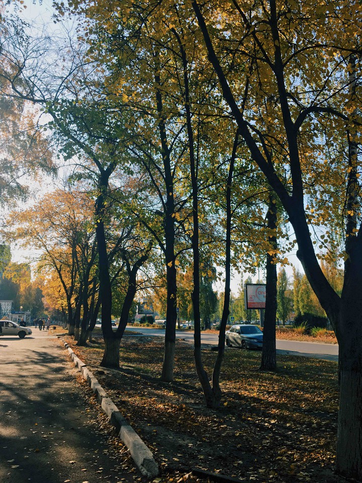 осенний город