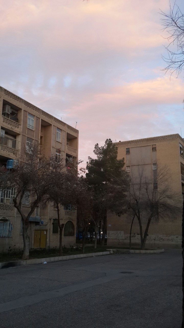 afternoon