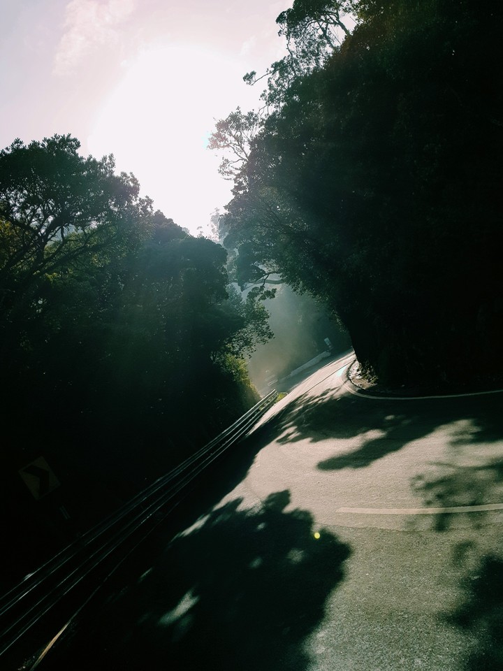 Road to haven