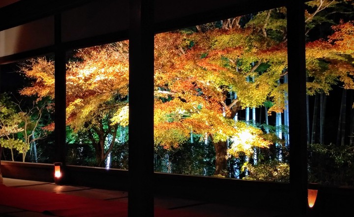 autumn color at night