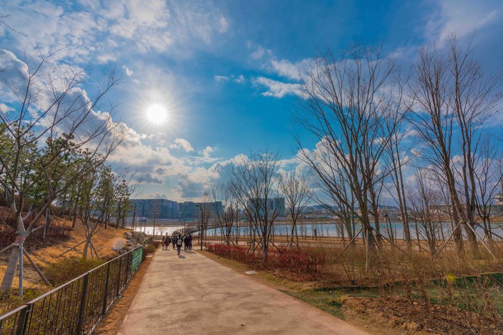 Seoul’s sky