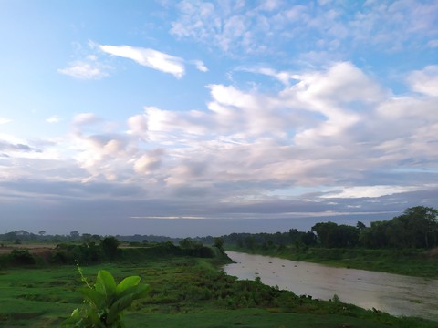 nature