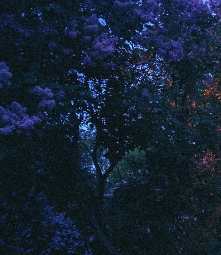 ♡