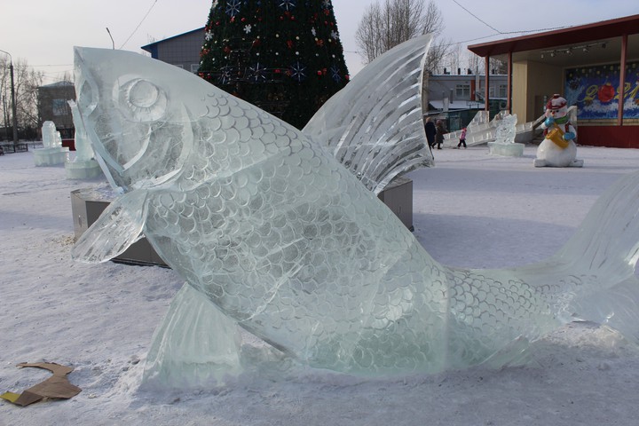 ice fish