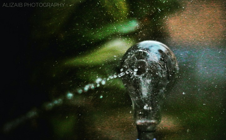 bulb in rain
