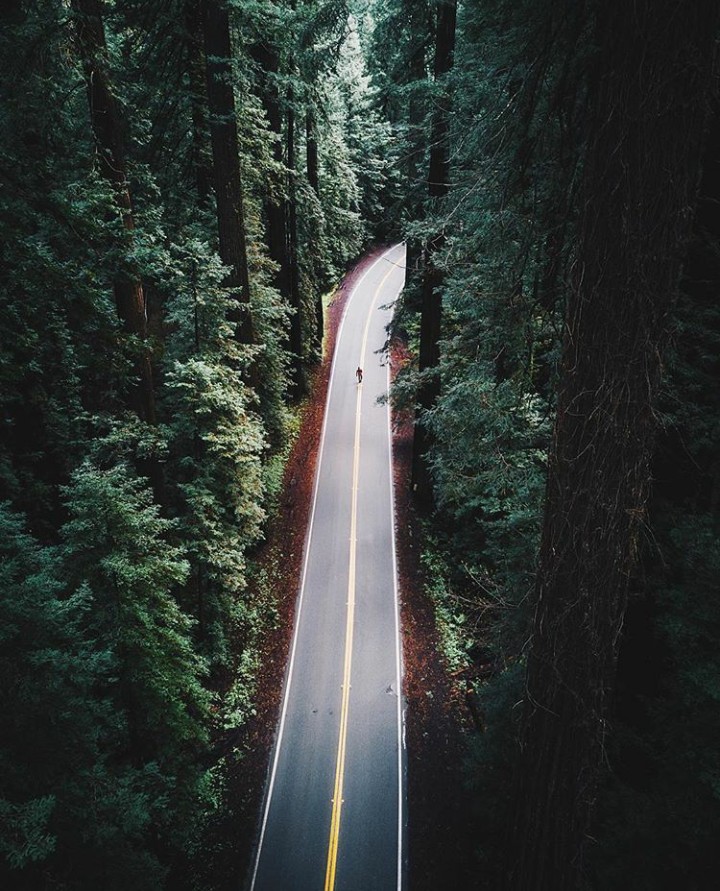walking in the woods.