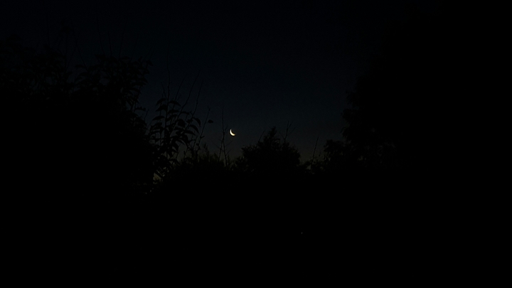 Moon luna