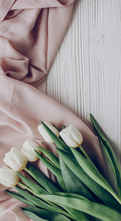 тапети flower, petal