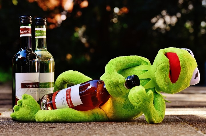 This Kermit The Frog is Not for Kids