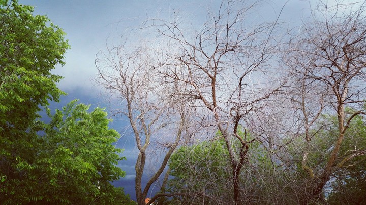 Rain is coming