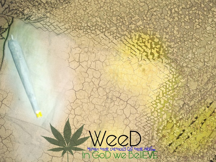 in weed we trust