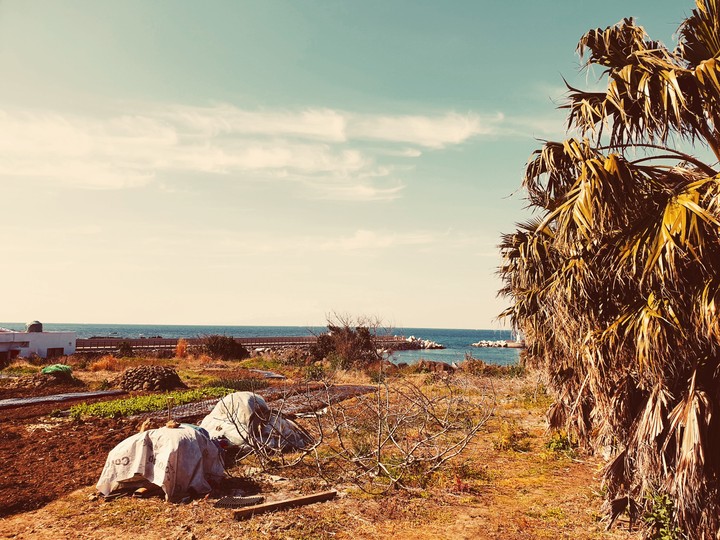 jeju island