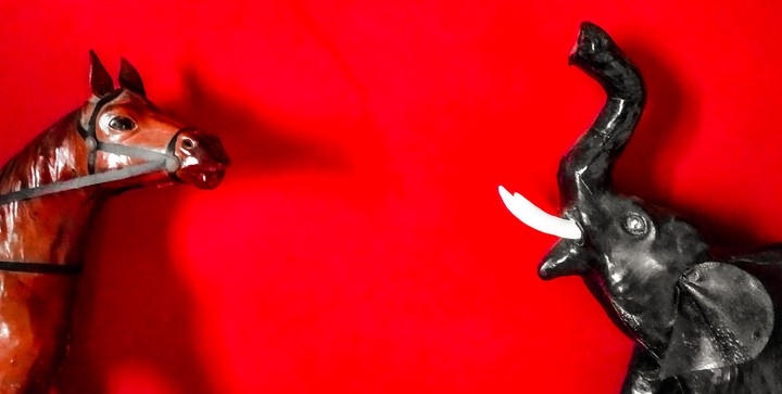 horse and elephant