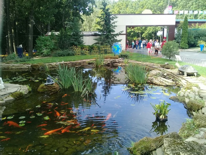 ПАРК ФЕЛЬМАНА