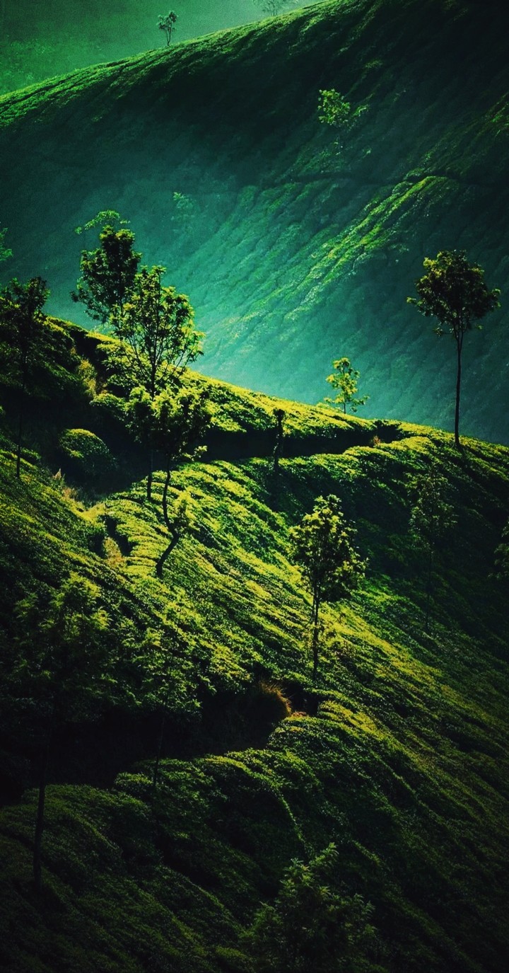 Nature