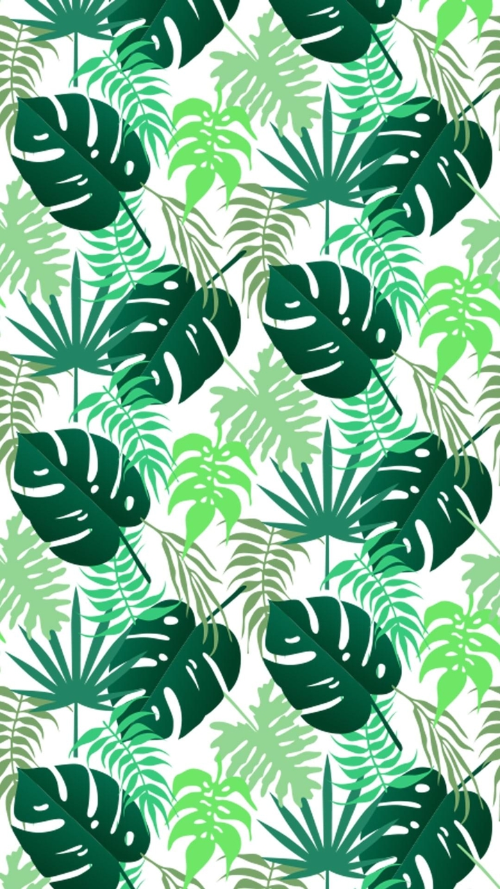 Tropical