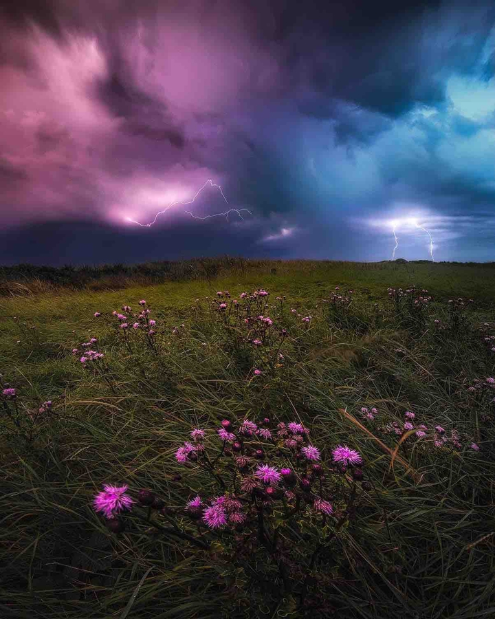 wonderful nature
