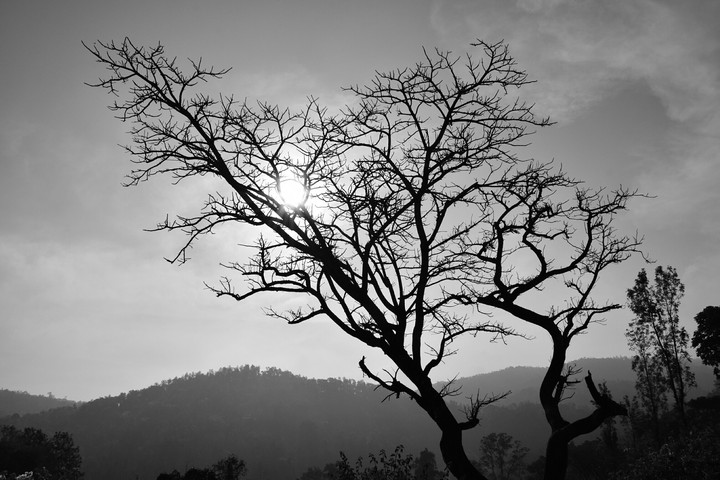 monochrome scenic beauty