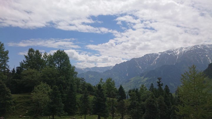 nature