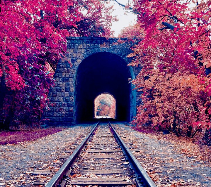 My way