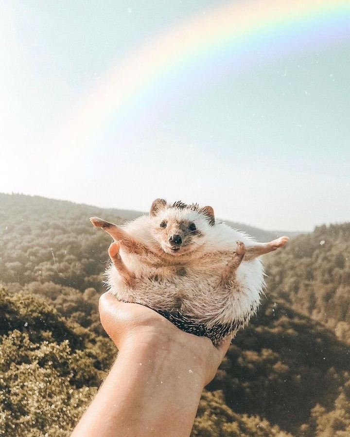 милота ❤️