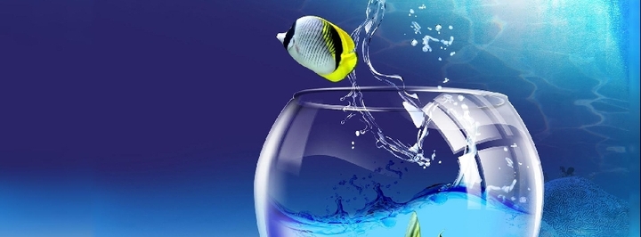 Fish at Water