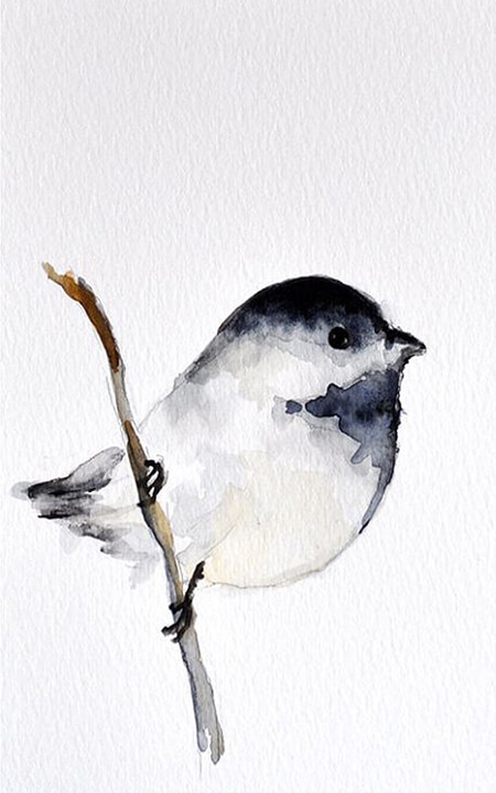 Spatz