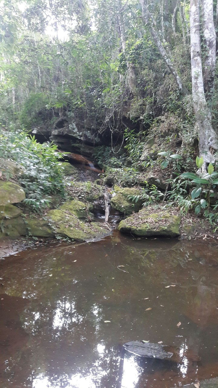 Nascente