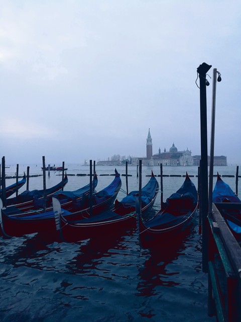 venice 6 a.m.
