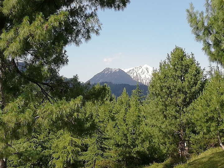 Nature