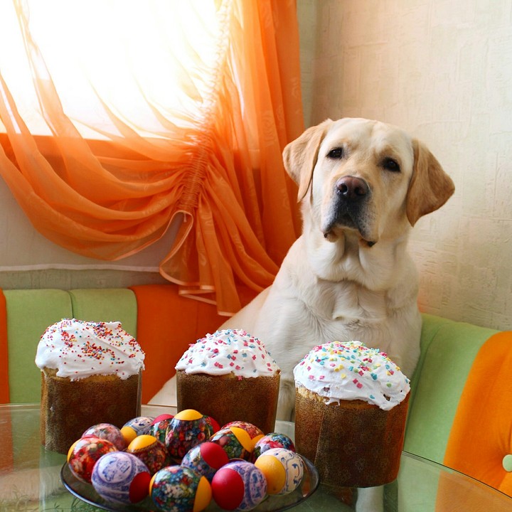 Happy Easter!