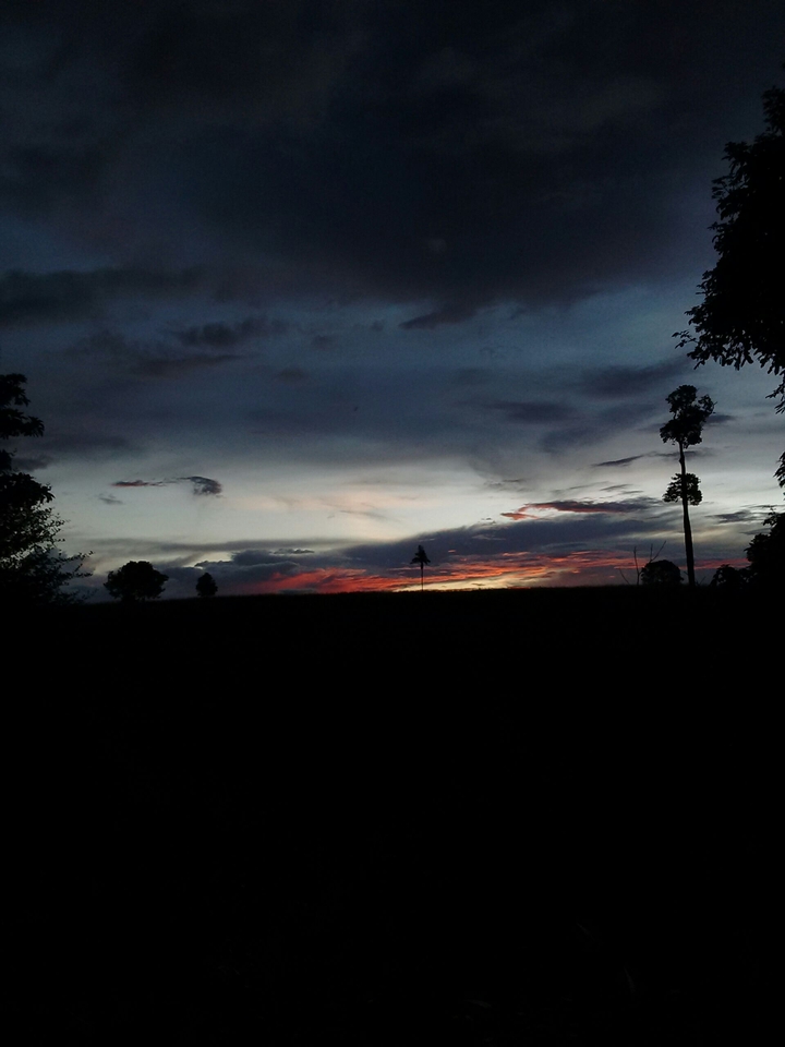 natureza