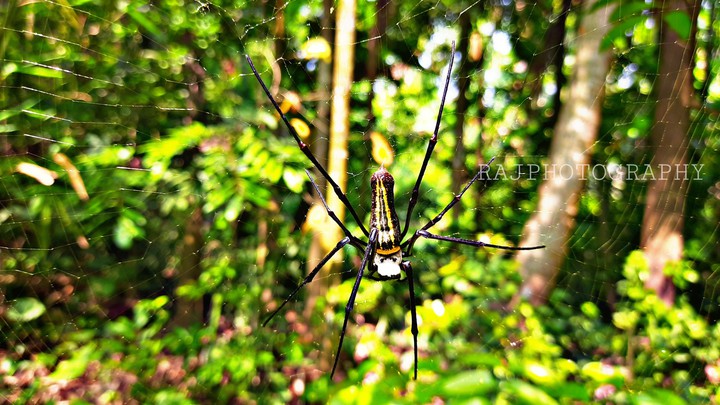 Mobile click