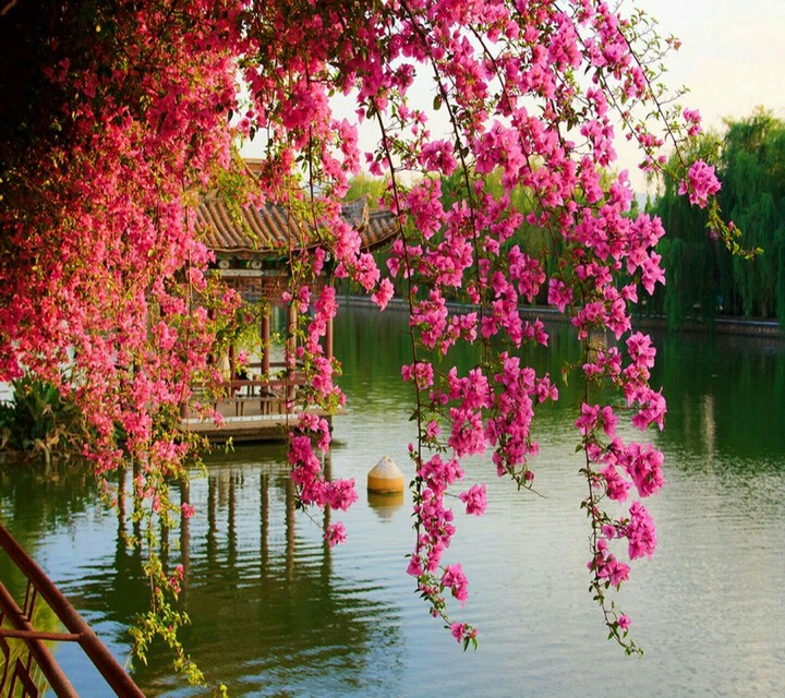 Nature's charm.....