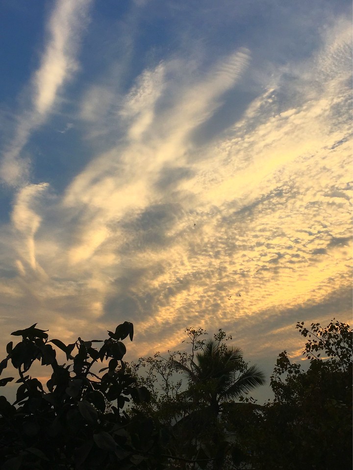 mesmerising skies