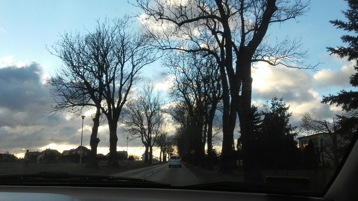 cloud and tree