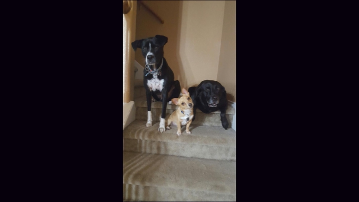 3 musketeers!
