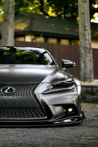Lexus’s