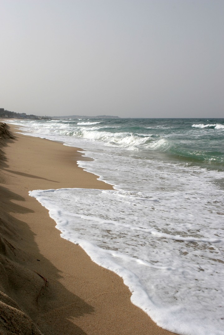 Sea
