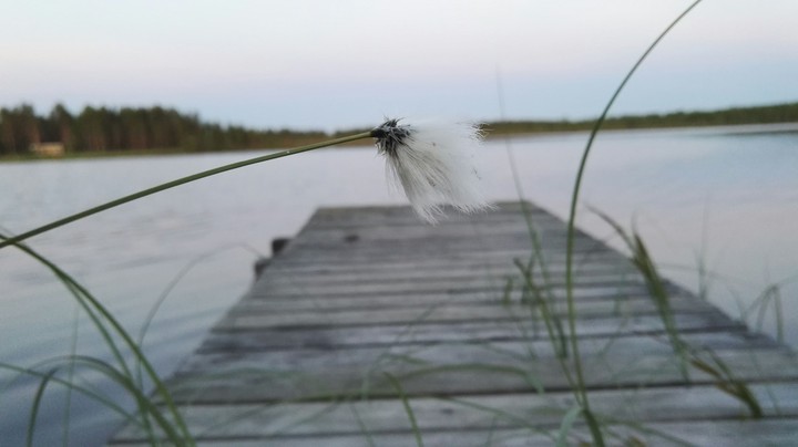 lake