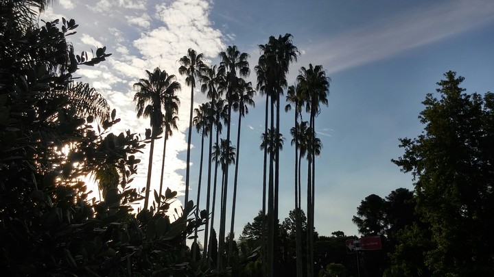 JARDÍN BOTÁNICO Montevideo
