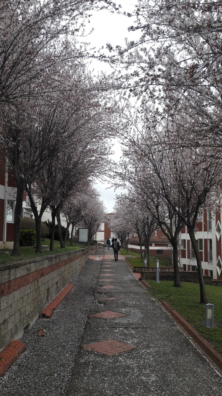 Nature