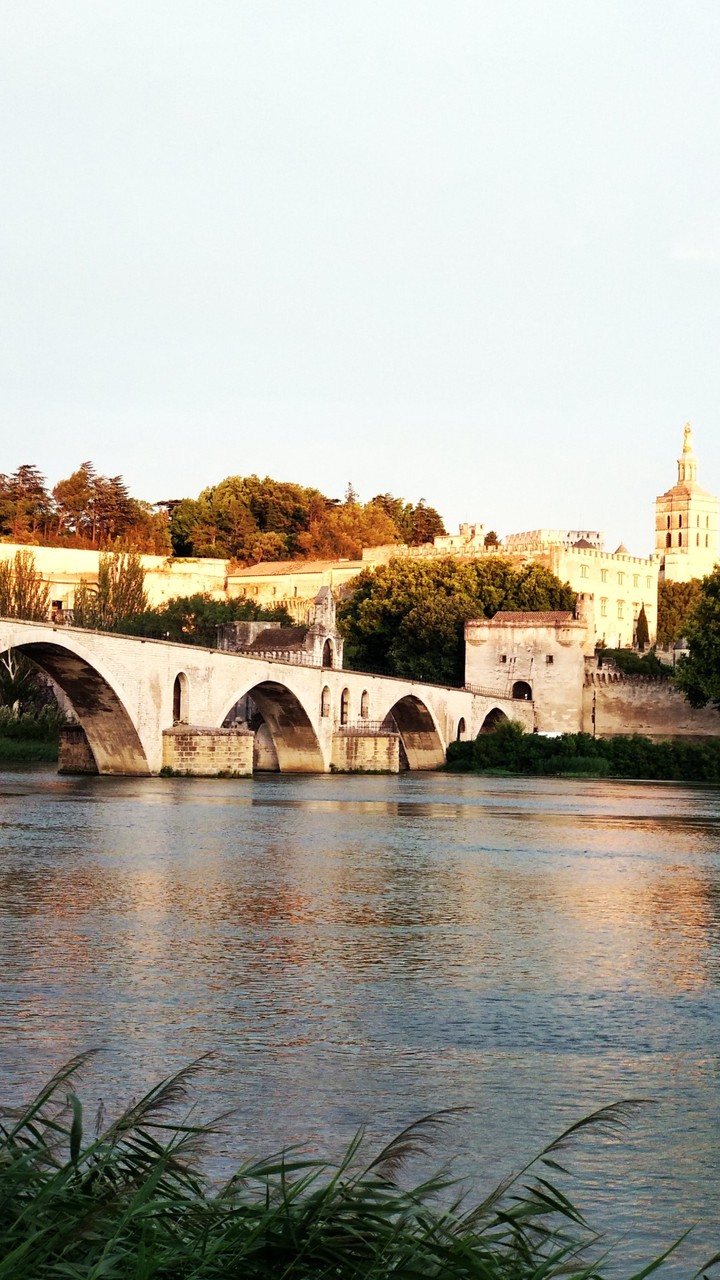 puente avignon