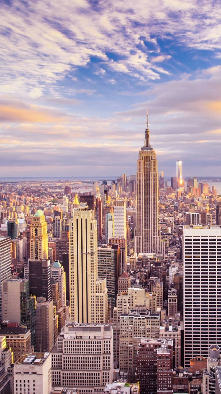 New York View