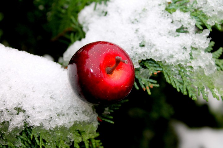 Apple:)