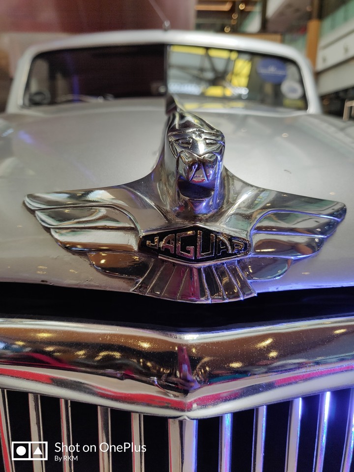 jaguar
